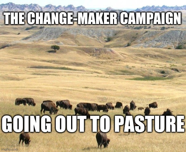 Change Makers Going out to pasture